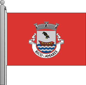 Bandeira da freguesia de Bico