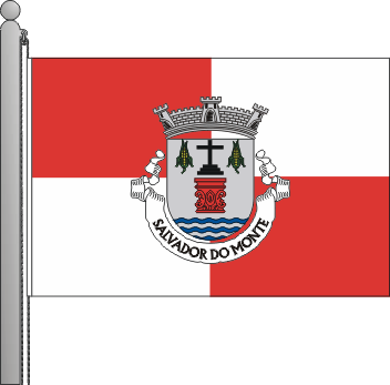 Bandeira da freguesia de Salvador do Monte