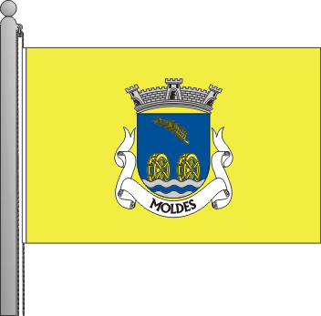 Bandeira da freguesia de Moldes