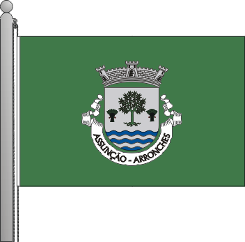 Bandeira da freguesia de Assuno
