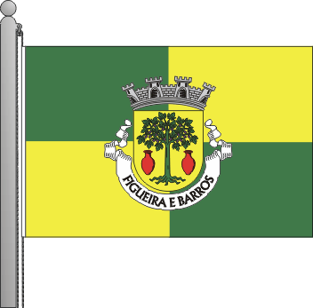 Bandeira da freguesia de Figueira e Barros