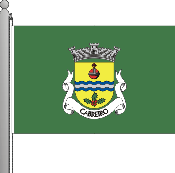 Bandeira da freguesia de Cabreiro