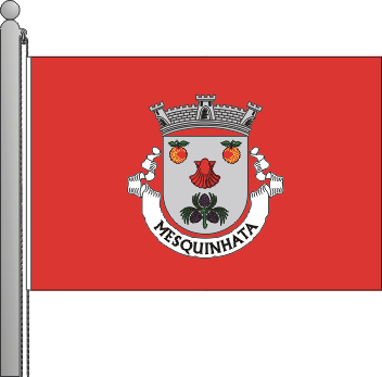Bandeira da freguesia de Mesquinhata