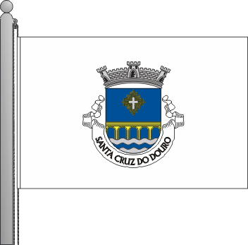 Bandeira da freguesia de Santa Cruz do Douro