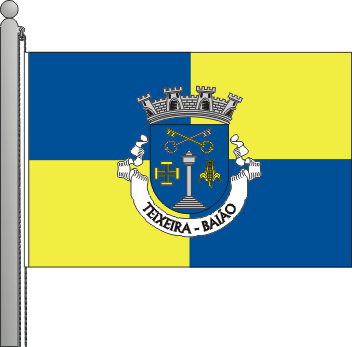 Bandeira da freguesia de Teixeira
