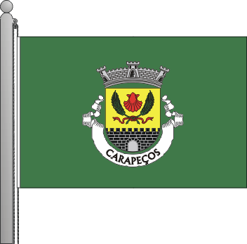 Bandeira da freguesia de Carapeos