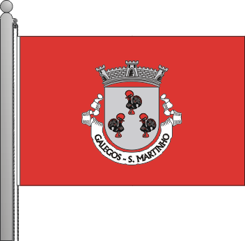 Bandeira da freguesia de So Martinho de Galegos