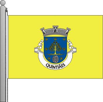 Bandeira da freguesia de Quinties