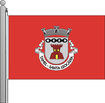 Bandeira da freguesia de Santa Leocádia de Tamel