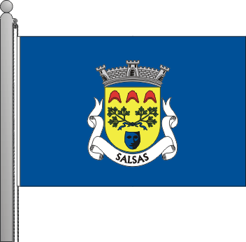 Bandeira da freguesia de Salsas