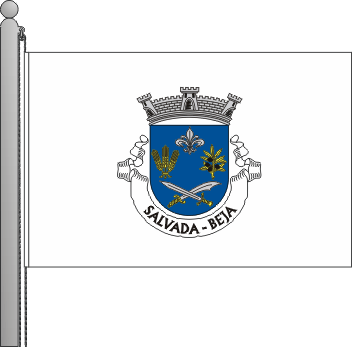 Bandeira da freguesia de Salvada