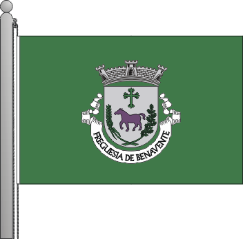 Bandeira da freguesia de Benavente