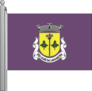 Bandeira da freguesia de So Jos da Lamarosa