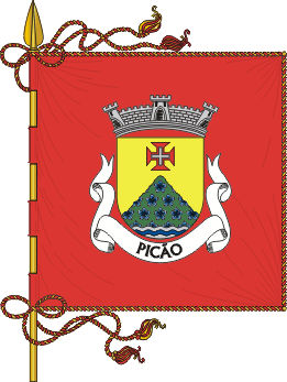 Estandarte da freguesia de Pico