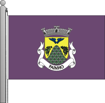 Bandeira da freguesia de Painho