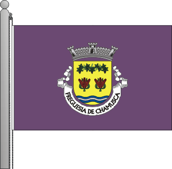 Bandeira da freguesia de Chamusca