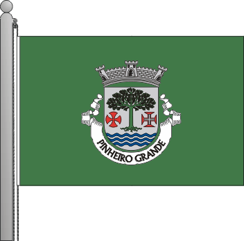 Bandeira da freguesia de Pinheiro Grande