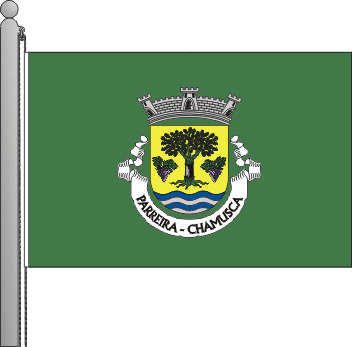 Bandeira da freguesia de Parreira