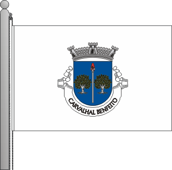 Bandeira da freguesia de Carvalhal Benfeito