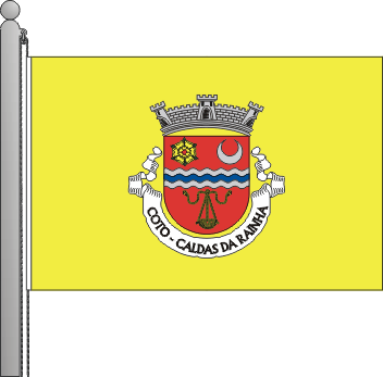 Bandeira da freguesia de Coto