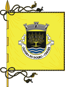 Estandarte da freguesia de Oliveira do Douro