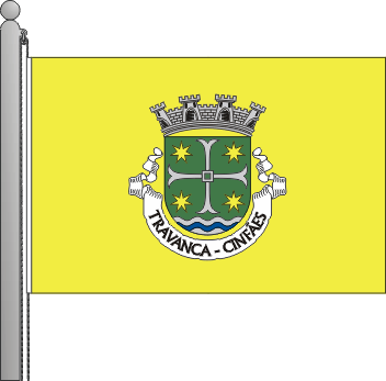 Bandeira da freguesia de Travanca