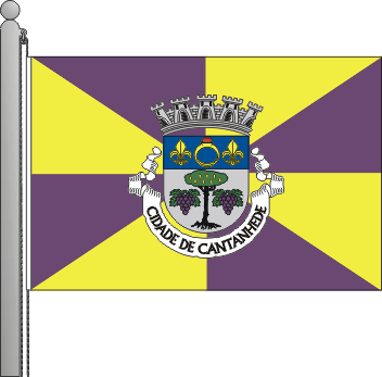 Bandeira do municpio de Cantanhede