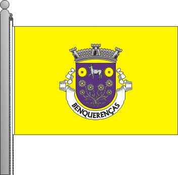 Bandeira da freguesia de Benquerenas