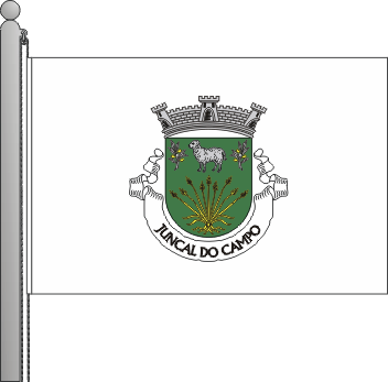 Bandeira da freguesia de Juncal do Campo