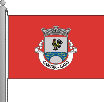 Bandeira da freguesia de Cantar-Galo
