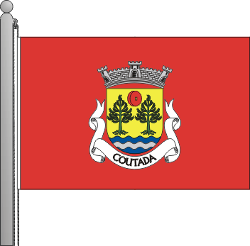 Bandeira da freguesia de Coutada