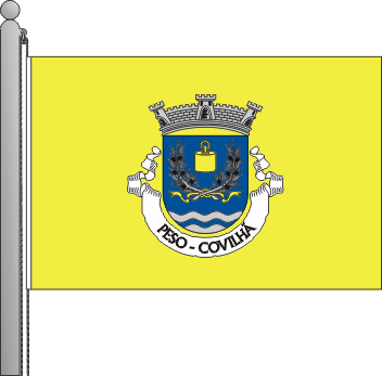 Bandeira da freguesia de Peso