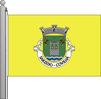 Bandeira da freguesia de Sarzedo