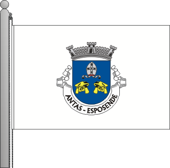 Bandeira da freguesia de Antas