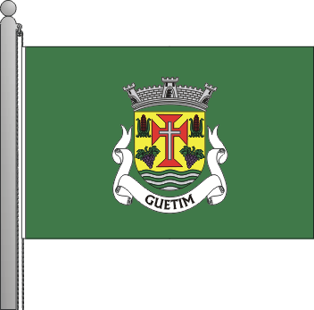 Bandeira da freguesia de Guetim