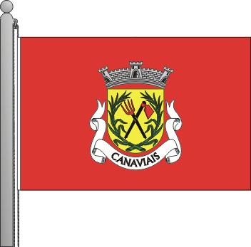 Bandeira da freguesia de Canaviais