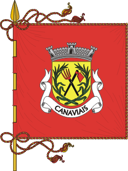Estandarte da freguesia de Canaviais