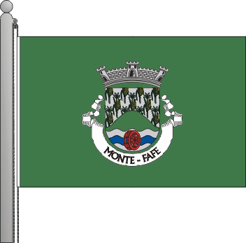 Bandeira da freguesia de Monte