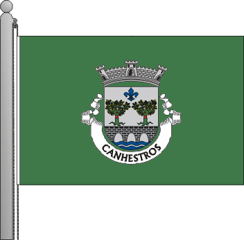 Bandeira da freguesia de Canhestros