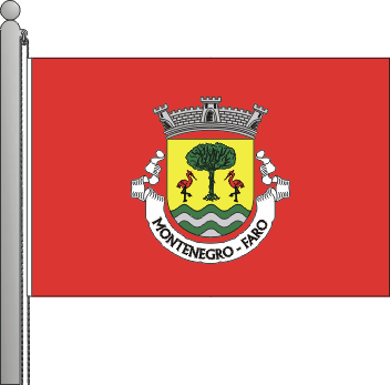 Bandeira da freguesia de Montenegro