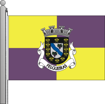 Bandeira do município de Felgueiras