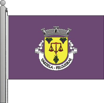 Bandeira da freguesia de Varziela