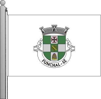 Bandeira da freguesia da S