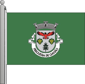 Bandeira da freguesia de Gavio