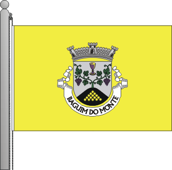 Bandeira da freguesia de Baguim do Monte