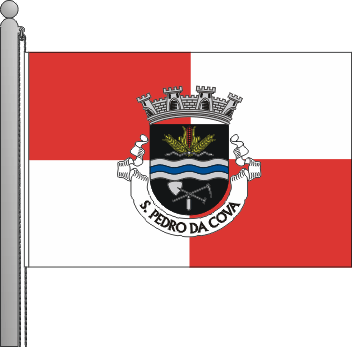 Bandeira da freguesia de So Pedro da Cova