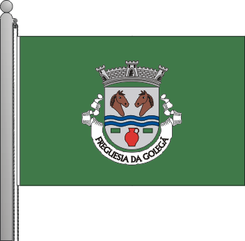 Bandeira da freguesia da Goleg