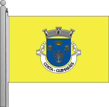 Bandeira da freguesia de Costa