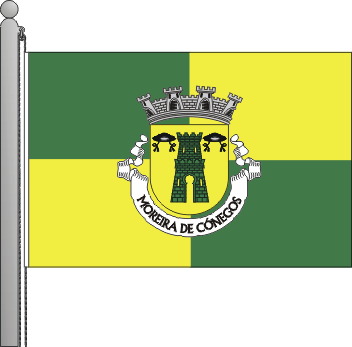Bandeira da freguesia de Moreira de Cnegos