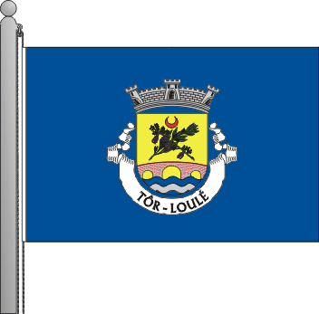 Bandeira da freguesia de Tôr